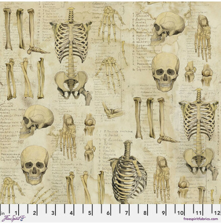 Tim Holtz Anatomy Neutral (17365)